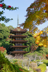 いろんな顔...瑠璃光寺五重塔Ⅷ