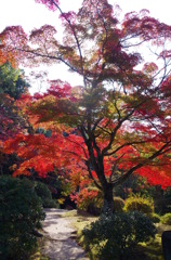 待ち遠しい秋・防府毛利邸Ⅵ