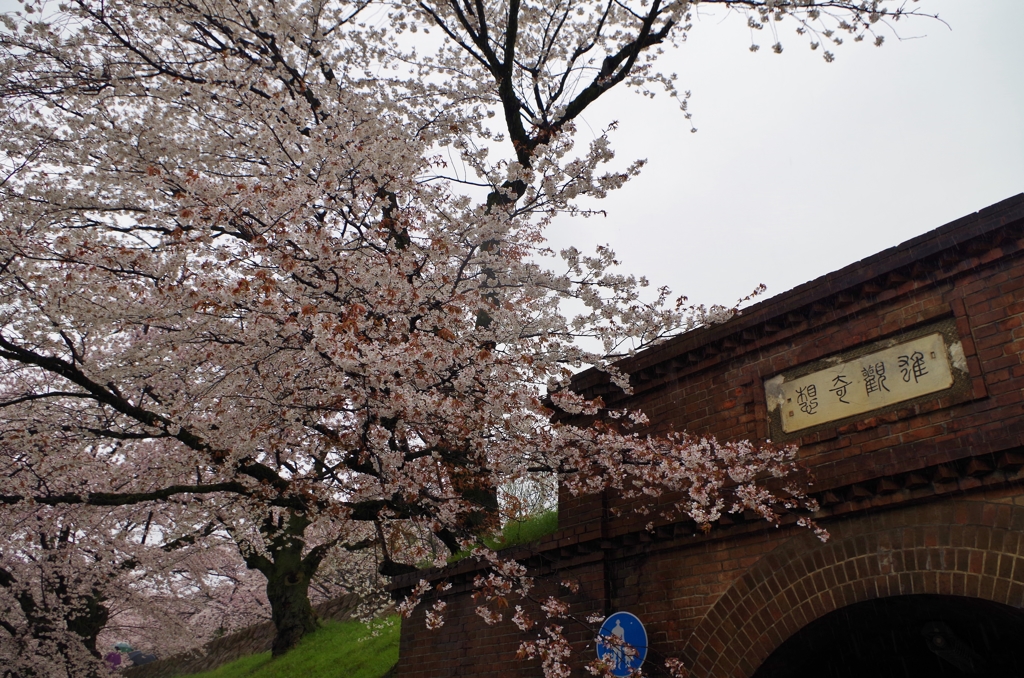 雨の蹴上インクライン