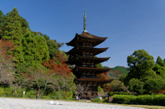 いろんな顔...瑠璃光寺五重塔Ⅸ