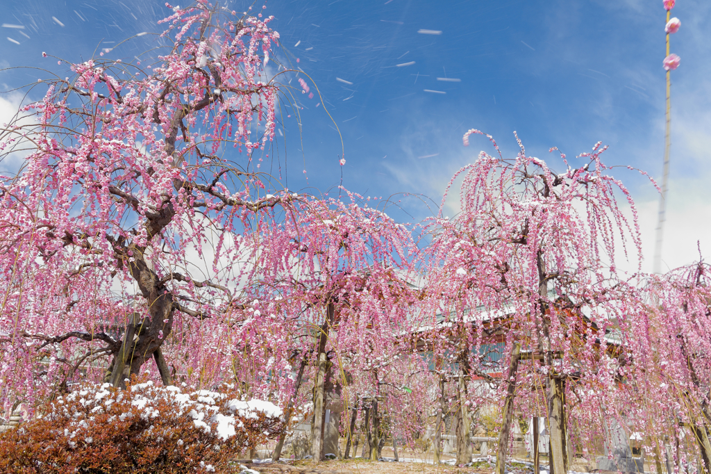 雪解け後の青空．．．突風