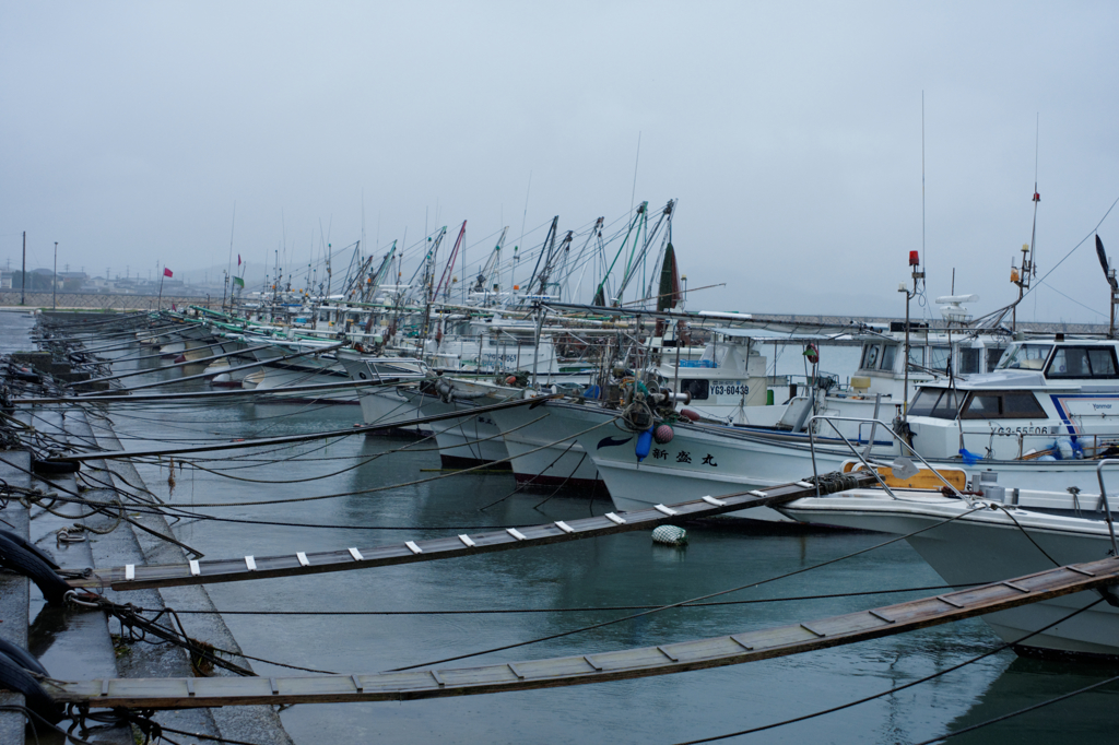 本日は休憩なり