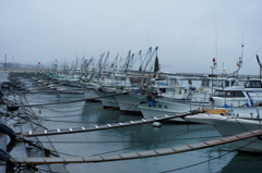 本日は休憩なり