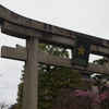鳥居の星