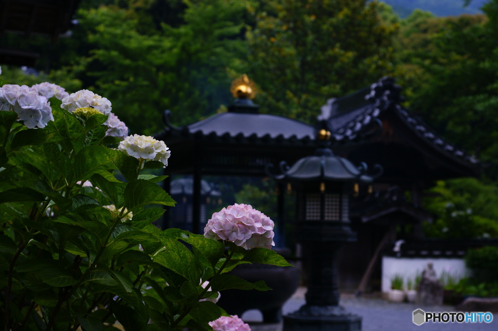和の美　Ⅱ