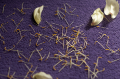 散っても美しく