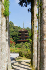 いろんな顔...瑠璃光寺五重塔Ⅱ