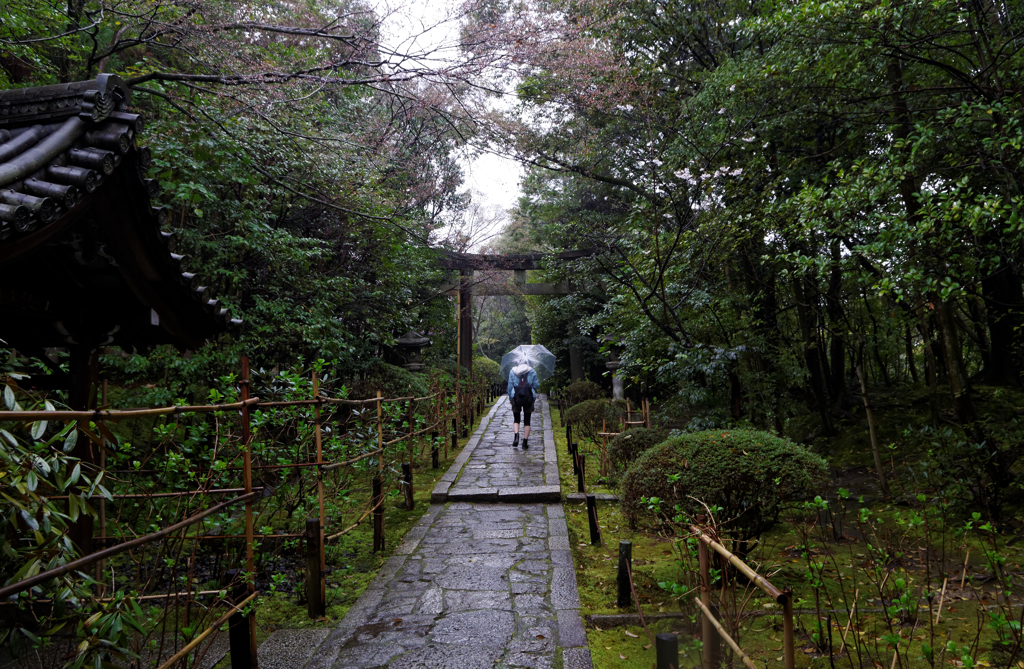 雨の参道