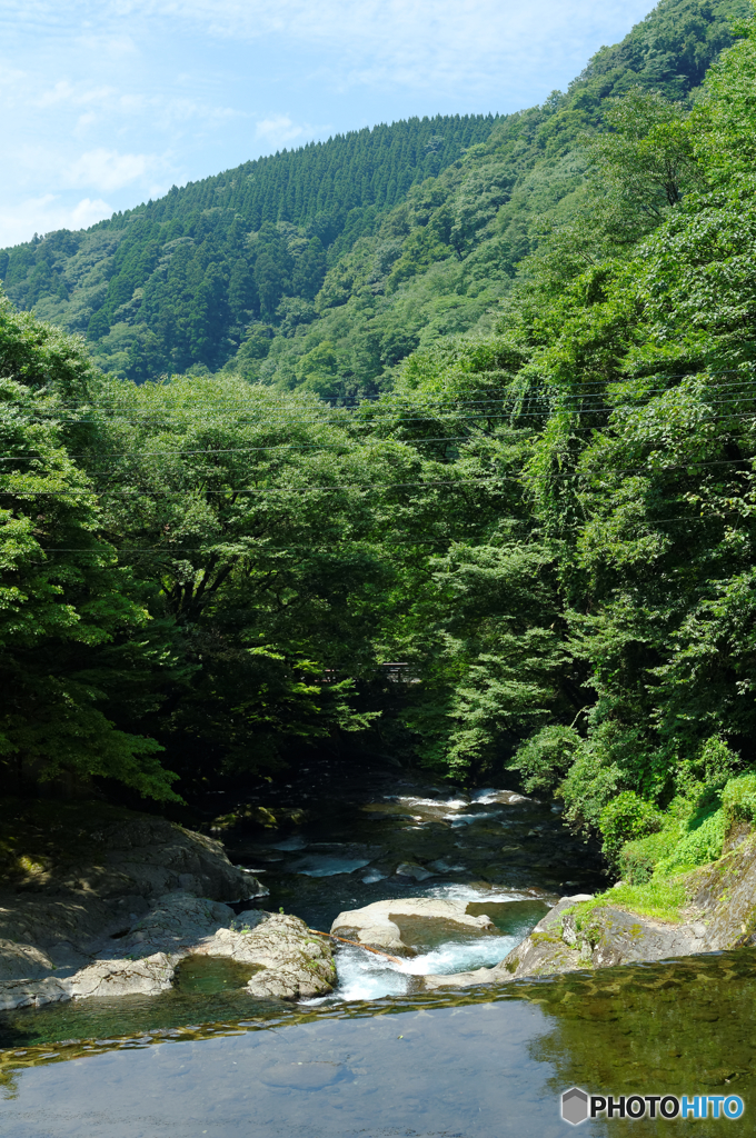 森と川と