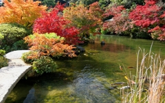 ちょっぴり早い紅葉かな...カラフルに
