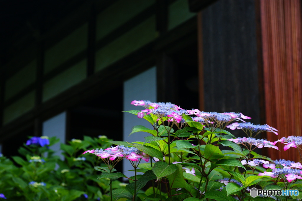 和の美