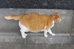 実は・・・