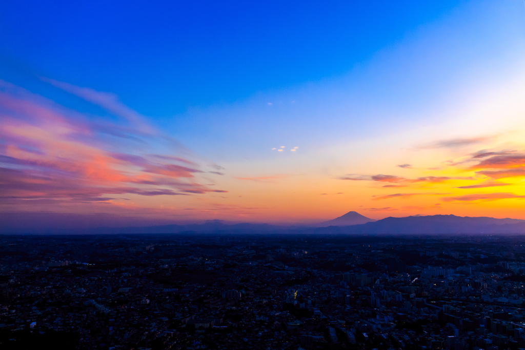 夕日に照らされて