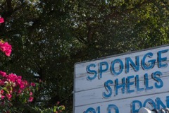 心は晴れやかに