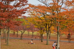 公園も秋の色