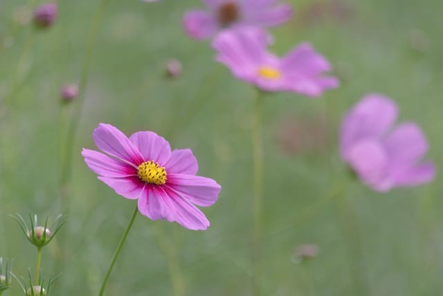 今日も一日前を向いて