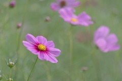 今日も一日前を向いて