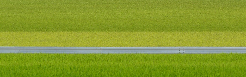 緑のじゅうたん