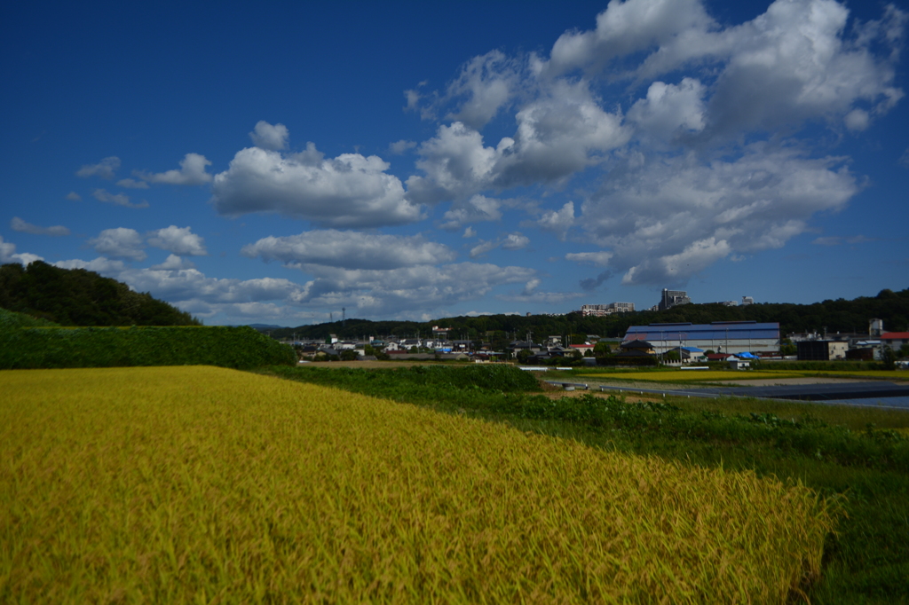 吸い込まれそう
