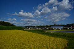 吸い込まれそう