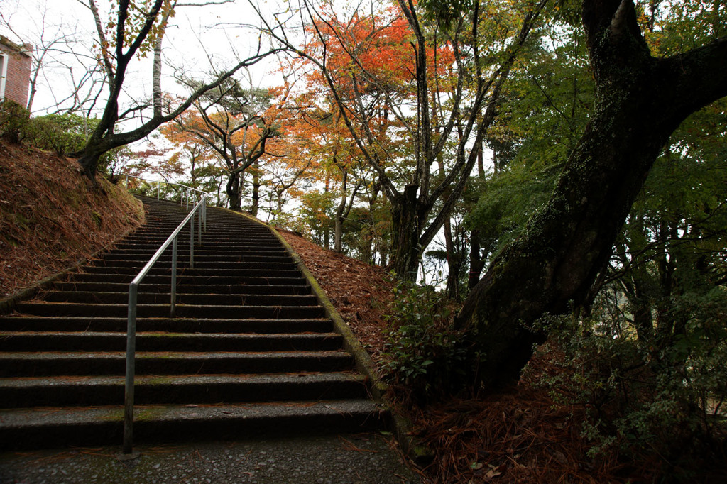 紅葉が始まる頃