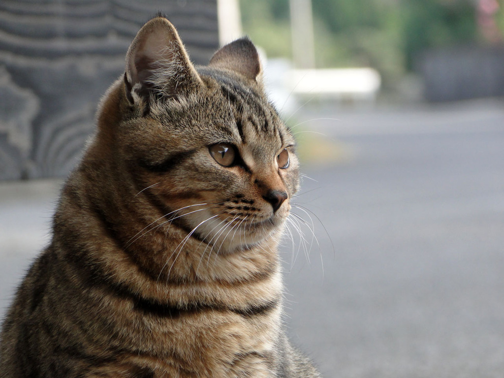 何かを見つめて