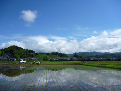 大地の恵み