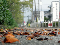 秋の気配