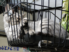 お気に入りの場所