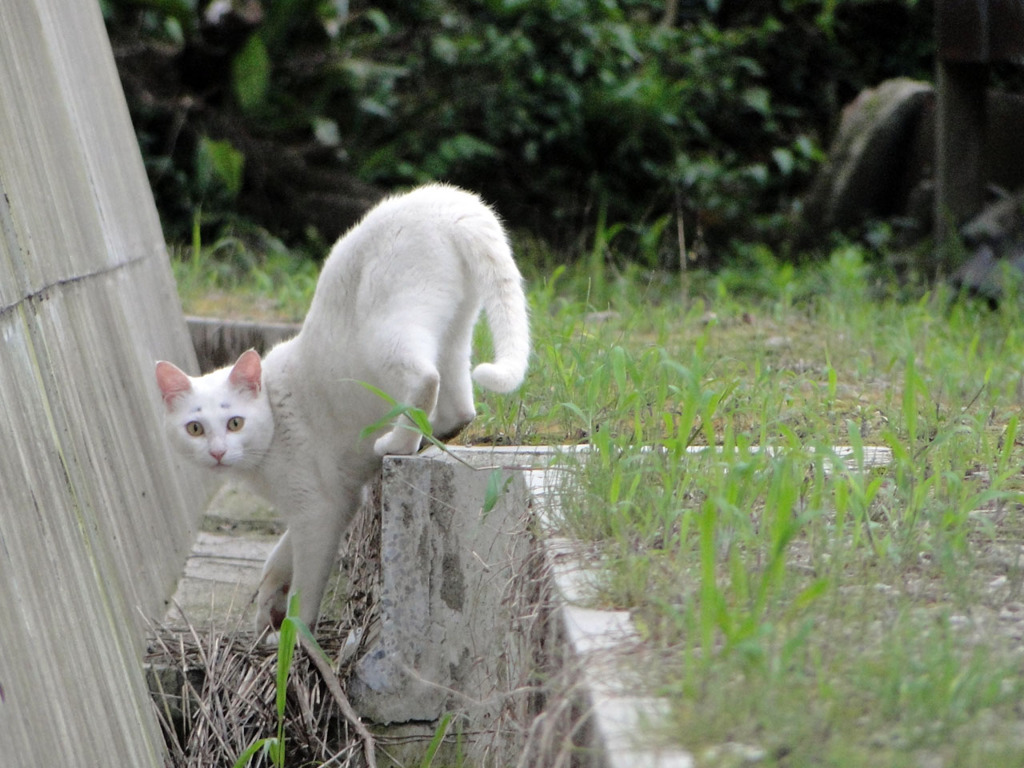 いつまで撮ってるの？