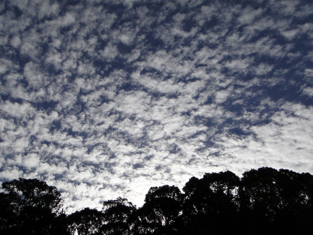 秋の空