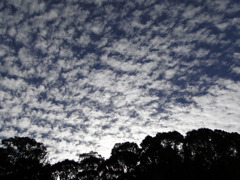 秋の空
