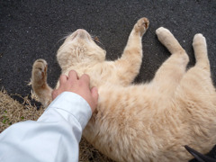 うぅー