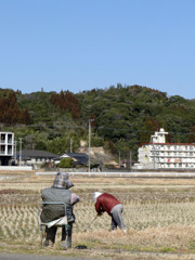 青空の下で