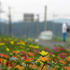 交差点の花壇