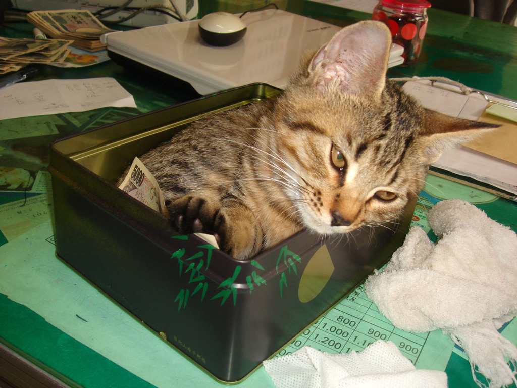 紙切れには興味無し