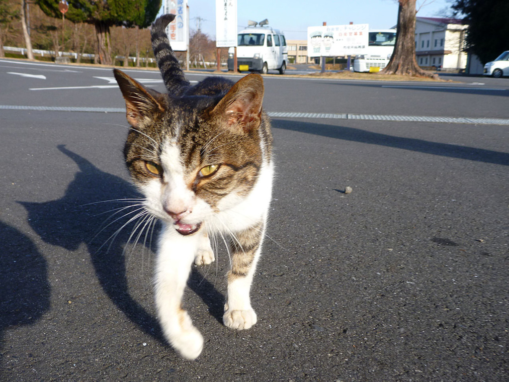 何かちょうだい
