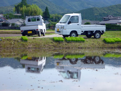 軽トラの存在