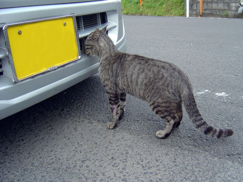 何の匂いかな？
