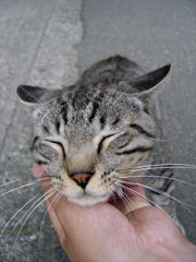 接近