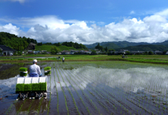 梅雨の中休み