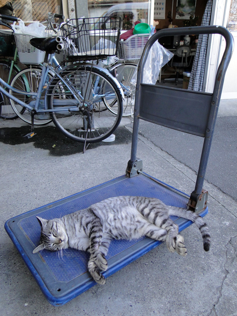 運ばないで