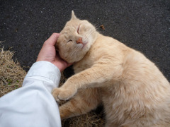 いい気持ち