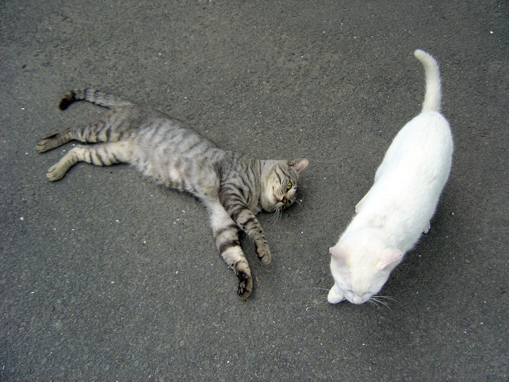 おい、どこ行くんだ？