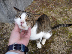 今、何時ですか？