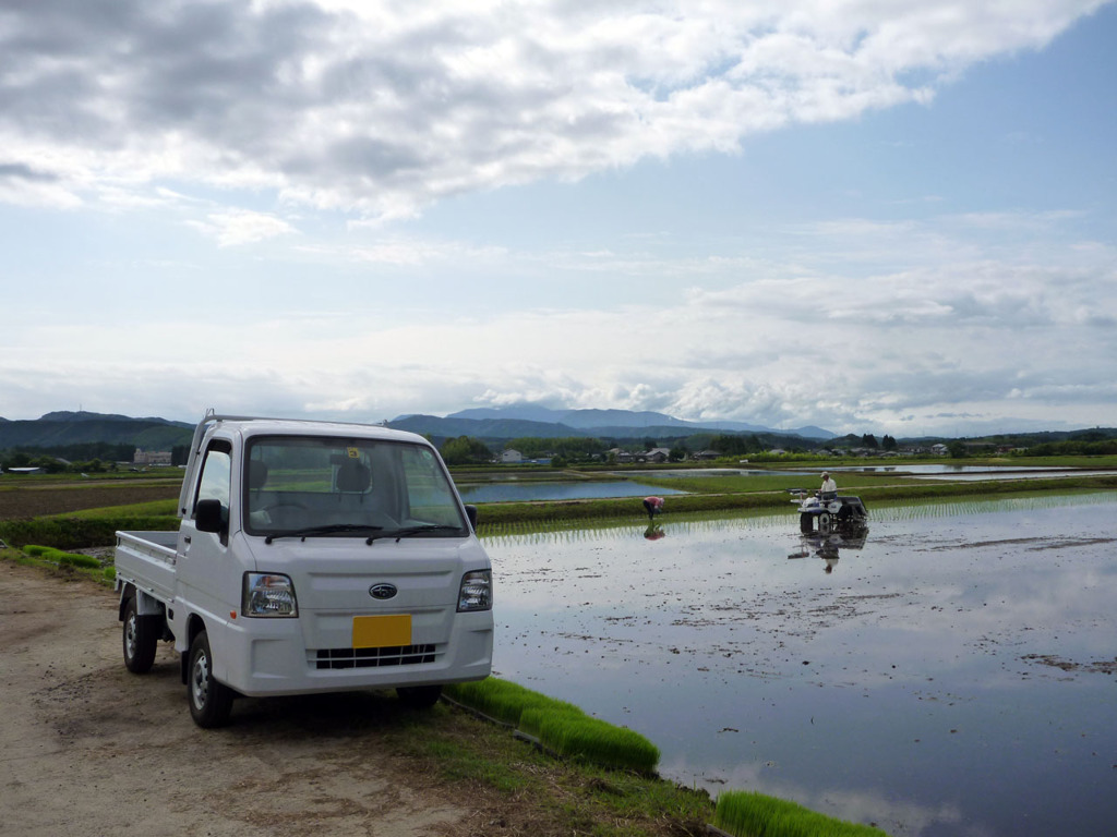 田植えを見守るトラック