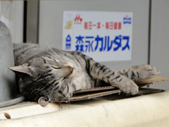 宣伝１