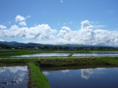 ６月の空