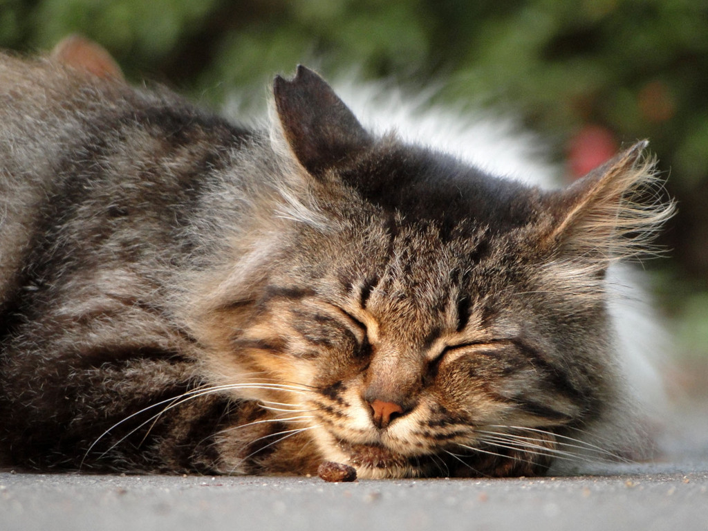 一日の終わりに