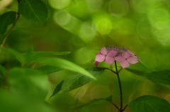 DSCF3047
